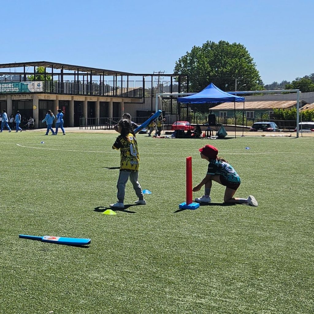 <span style="color: #5e0000">Cricket</span>
